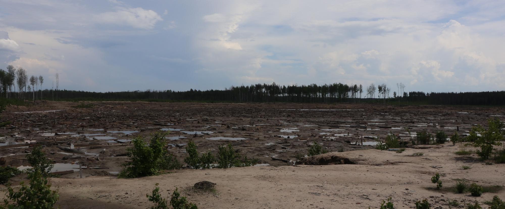 "Райт Солюшн" первой начинает легальную добычу янтаря в Житомирской области